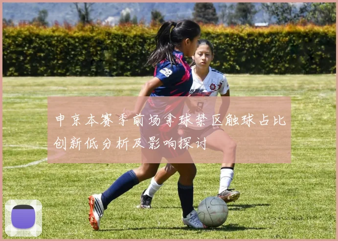 申京本赛季前场拿球禁区触球占比创新低分析及影响探讨