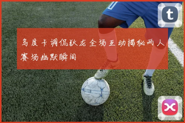 乌度卡调侃狄龙全场互动揭秘两人赛场幽默瞬间