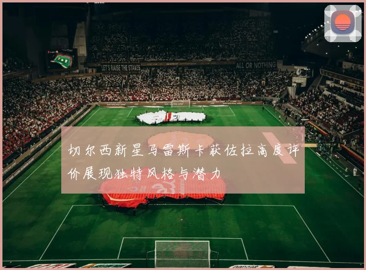 切尔西新星马雷斯卡获佐拉高度评价展现独特风格与潜力