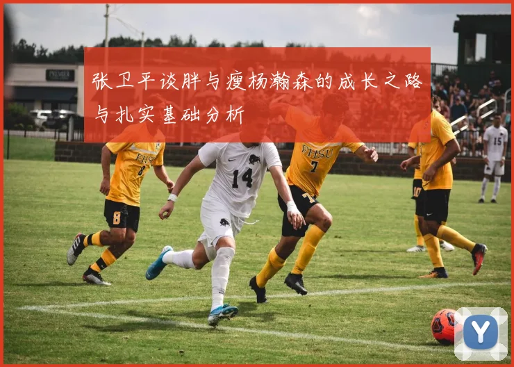张卫平谈胖与瘦杨瀚森的成长之路与扎实基础分析