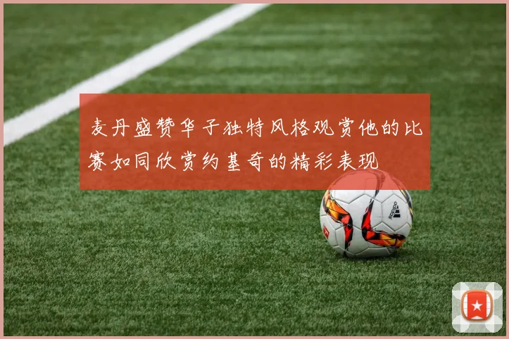 麦丹盛赞华子独特风格观赏他的比赛如同欣赏约基奇的精彩表现